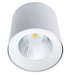 белые накладные потолочные светильники downlight ANTLIA LED